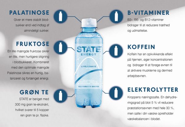 STATE-infographic_dk-2.jpeg