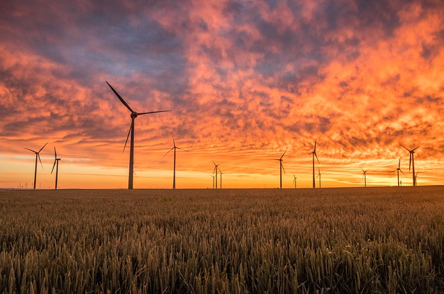 Grøn energi i københavn: Sådan vælger du et bæredygtigt elselskab